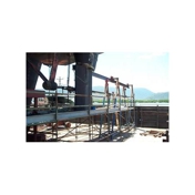 Gallery Image Number 7