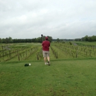 Vineyard Golf At Renault