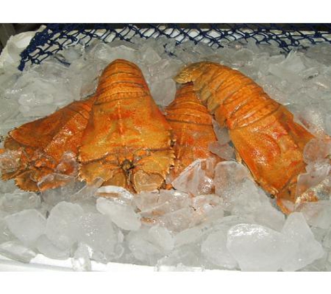 Urangan Fisheries - Callemondah, QLD