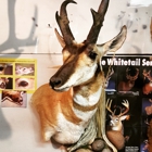 Hunter's Taxidermy