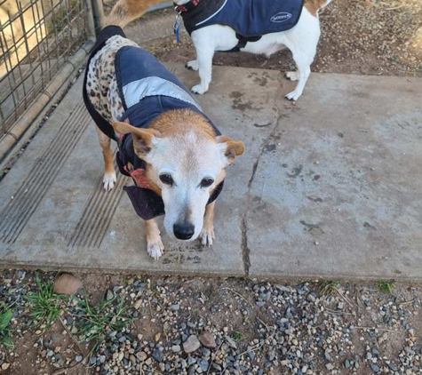 Kellmann Kennels - Templers, SA