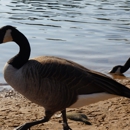 Lakeshore RV Park - Campgrounds & Recreational Vehicle Parks