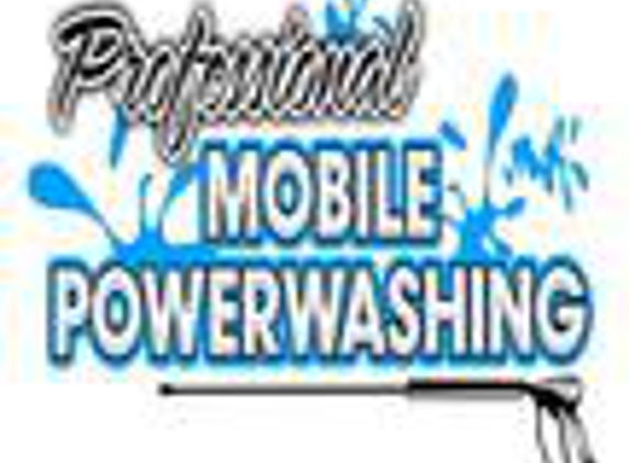 Professional Mobile Power Cleaning & Restoration Sys