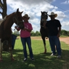 The Riding Stables gallery