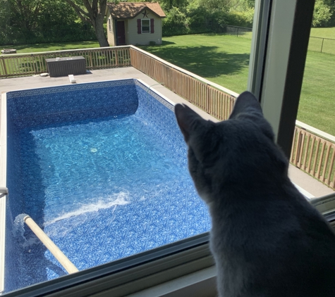 Curtz Pool Water - Montrose, MI. Fill 'er up Curtz!