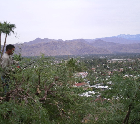 Pro Landscaping Inc. - Thousand Palms, CA