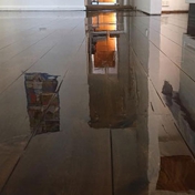 Gallery Image Number 4