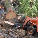 Riccabona's Landscape & Tree Service - Trash Hauling