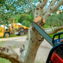 OpExcellence Tree and Stump Pros - Tree Service
