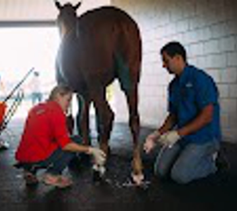 Equine Performance Innovative Center: EPIC - Ocala, FL