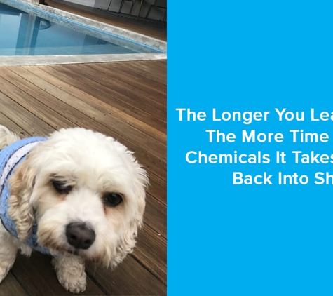 Sharkies Pools Service. The Longer You Leave A Pool, The More Time And Or Chemicals It Takes To Get It Back Into Shape