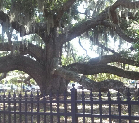 Baranoff Park - Safety Harbor, FL