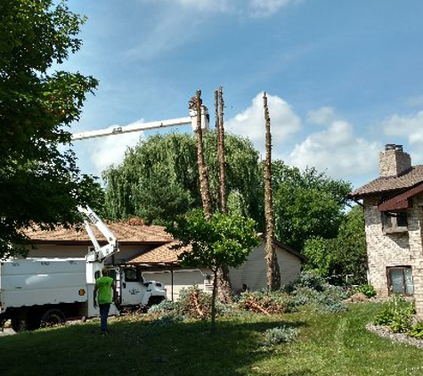 A Cut Above Tree Service - East Peoria, IL