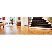 Gallery Image Number 5