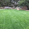 Tailored Lawn Care gallery
