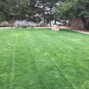 Tailored Lawn Care - Gardeners