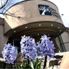 New Creation Church gallery