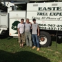 Eastern Tree Experts LLC