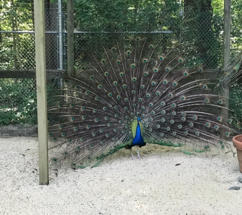 Watkins Regional Park - Upper Marlboro, MD