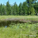 The Ridges Sanctuary - Parks