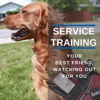 Dog Training Elite New Braunfels gallery