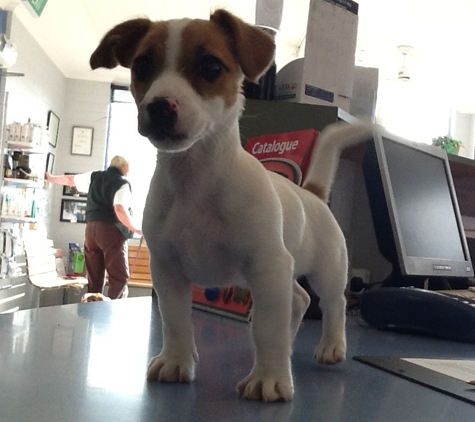 Animal Medical Centre Veterinary Hospital - Launceston, TAS