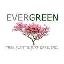 Evergreen Tree Plant & Turf Care, Inc - Tree Service