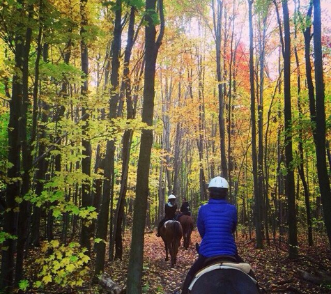 Maybury Riding Stable - Northville, MI