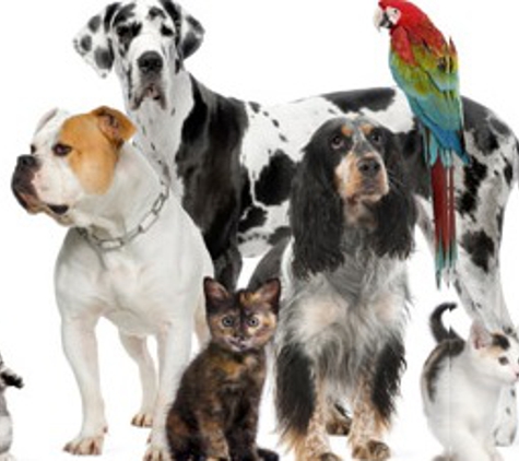 Capri Plaza Pet Clinlic - Tarzana, CA
