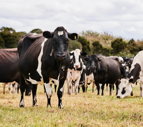 Southern Stockfeeds - Loddon, VIC
