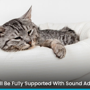 Leopold Pet Hospital - Leopold, VIC. You’ll Be Fully Supported With Sound Advice