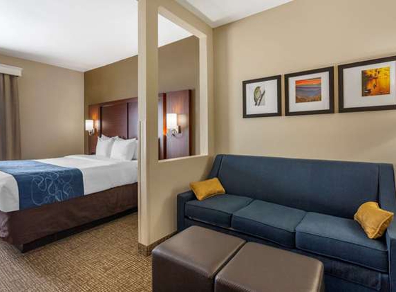 Comfort Suites - Goodlettsville, TN