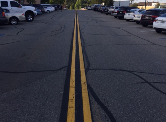 Ace Parking Lot Striping, Inc. - Plainwell, MI