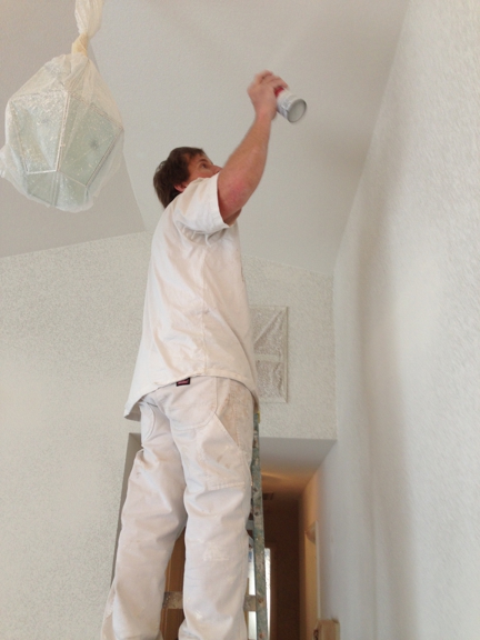 Look-Up Painting & Ceiling Specialist