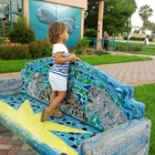 Manatee Observation & Education