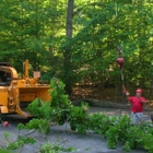 Northern Woods Tree Service