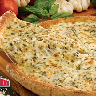 Papa Johns Pizza - Traverse City, MI