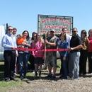 NB's Boat Repair - Boat Cleaning