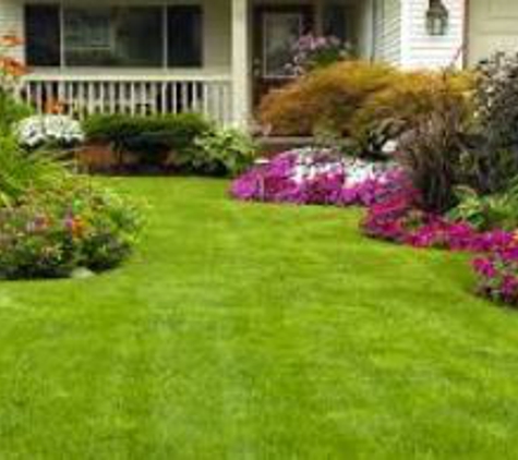 Ray's Lawn Tree & Landscaping Services - Riverside, CA