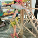 Petco - Pet Stores