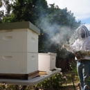 Mission Beekeeping - Bee Control & Removal Service