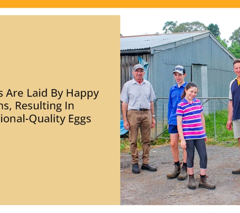 Llandilo Farm Fresh Eggs - Llandilo, NSW. The Eggs Are Laid By Happy Hens, Resulting In Exceptional-Quality Eggs