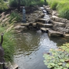 Pond Wiser Inc gallery
