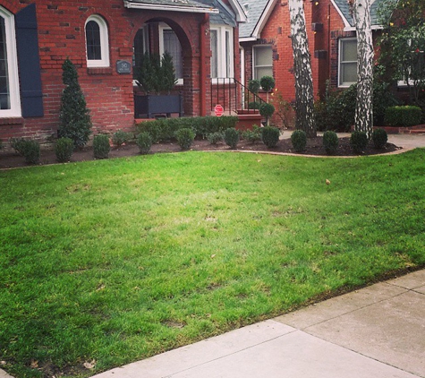 HD Lawn Care & Landscape Maintenance