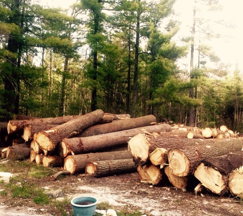 Grimshaw logging - mooers, NY