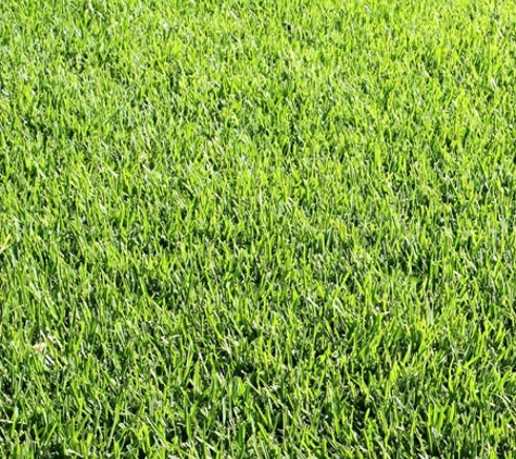 Aussie Turf and Soil - Freemans Reach, NSW