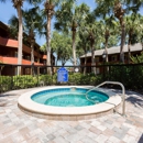 Westwood Suites Apartments - Apartments