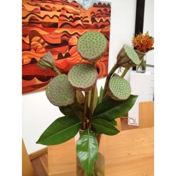 Gallery Image Number 3