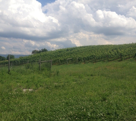 Cave Ridge Vineyard - Mount Jackson, VA