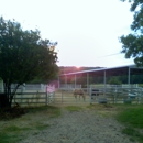 Continental Quarters Full Board Stables - Stables
